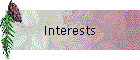Interests